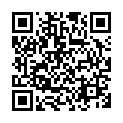 To view this 2020 Hyundai Palisade Lafayette LA from Alpha Automobile Sales, please scan this QR code with your smartphone or tablet to view the mobile version of this page.