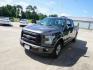2015 Gray /Dark Earth Gray Ford F-150 2WD SuperCab 145 XL (1FTEX1CP0FK) with an 2.7L 6 Cyl engine, Automatic transmission, located at 6904 Johnston St., Lafayette, LA, 70503, (337) 988-1960, 30.143589, -92.100601 - Photo#4