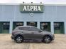 2016 Magnetic Gray Metallic /Gray Toyota RAV4 FWD 4dr LE (Natl) (2T3ZFREV8GW) , N/A transmission, located at 6904 Johnston St., Lafayette, LA, 70503, (337) 988-1960, 30.143589, -92.100601 - Photo#0