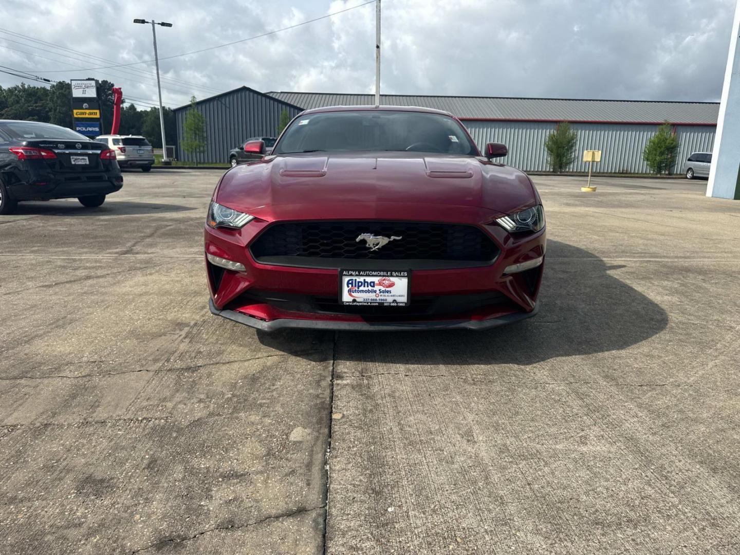 2018 Red /Black Ford Mustang EcoBoost Fastback (1FA6P8TH9J5) , Automatic transmission, located at 6904 Johnston St., Lafayette, LA, 70503, (337) 988-1960, 30.143589, -92.100601 - Photo#4