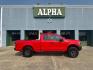 2020 Red /Gray Ford F-150 XL 2WD SuperCab 6.5' Box (1FTEX1CP2LK) , Automatic transmission, located at 6904 Johnston St., Lafayette, LA, 70503, (337) 988-1960, 30.143589, -92.100601 - Photo#0