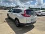 2019 White /Ivory Honda CR-V EX-L 2WD (2HKRW1H82KH) , Automatic transmission, located at 6904 Johnston St., Lafayette, LA, 70503, (337) 988-1960, 30.143589, -92.100601 - Photo#8