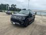 2020 Agate Black /Ebony Ford Expedition Max Limited 4x2 (1FMJK1KT0LE) , N/A transmission, located at 6904 Johnston St., Lafayette, LA, 70503, (337) 988-1960, 30.143589, -92.100601 - Photo#5