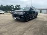 2020 Agate Black /Ebony Ford Expedition Max Limited 4x2 (1FMJK1KT0LE) , N/A transmission, located at 6904 Johnston St., Lafayette, LA, 70503, (337) 988-1960, 30.143589, -92.100601 - Photo#6