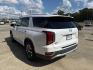 2020 Cream White /Black Hyundai Palisade SEL FWD (KM8R24HE4LU) , Automatic transmission, located at 6904 Johnston St., Lafayette, LA, 70503, (337) 988-1960, 30.143589, -92.100601 - Photo#3