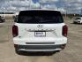 2020 Cream White /Black Hyundai Palisade SEL FWD (KM8R24HE4LU) , Automatic transmission, located at 6904 Johnston St., Lafayette, LA, 70503, (337) 988-1960, 30.143589, -92.100601 - Photo#4