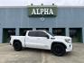 2020 Summit White /Dark Walnut/Slate GMC Sierra 1500 2WD Crew Cab 147 Elevation (3GTP8CED6LG) , Automatic transmission, located at 6904 Johnston St., Lafayette, LA, 70503, (337) 988-1960, 30.143589, -92.100601 - Photo#0