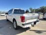 2020 Star White Metallic Tri-Coat /Black Ford F-150 Platinum 2WD SuperCrew 5.5' Box (1FTEW1C59LF) , Automatic transmission, located at 6904 Johnston St., Lafayette, LA, 70503, (337) 988-1960, 30.143589, -92.100601 - Photo#4
