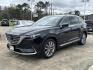 2021 Black /Black Mazda CX-9 Grand Touring FWD (JM3TCADY7M0) , Automatic transmission, located at 6904 Johnston St., Lafayette, LA, 70503, (337) 988-1960, 30.143589, -92.100601 - Photo#2