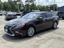 2016 Brown /Tan Lexus ES 350 4dr Sdn (58ABK1GG7GU) , Automatic transmission, located at 6904 Johnston St., Lafayette, LA, 70503, (337) 988-1960, 30.143589, -92.100601 - Photo#2